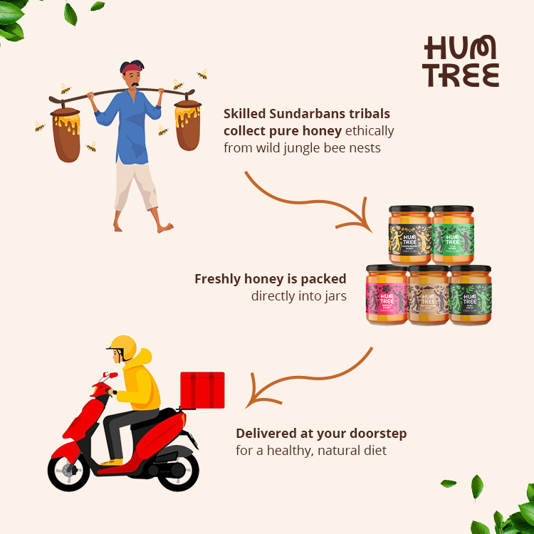 Assorted Pack of All 5 Honey Flavors (250g)