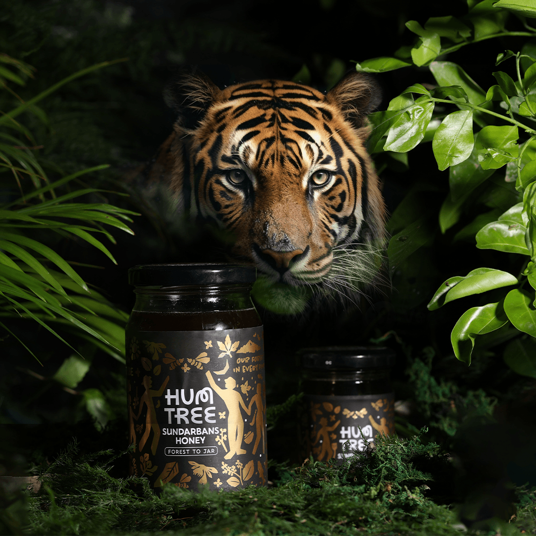 Sundarbans Honey - HumTree
