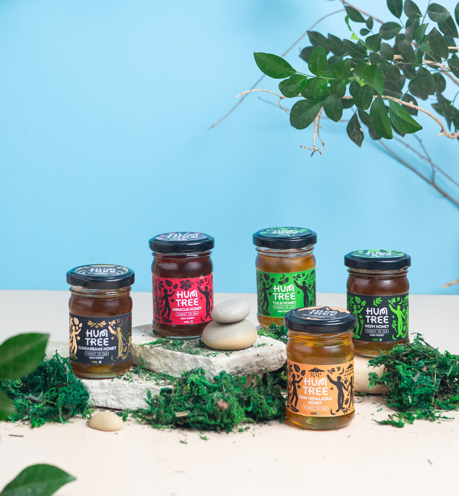 Honey Sampler Box: All 5 Flavors, 125g Each