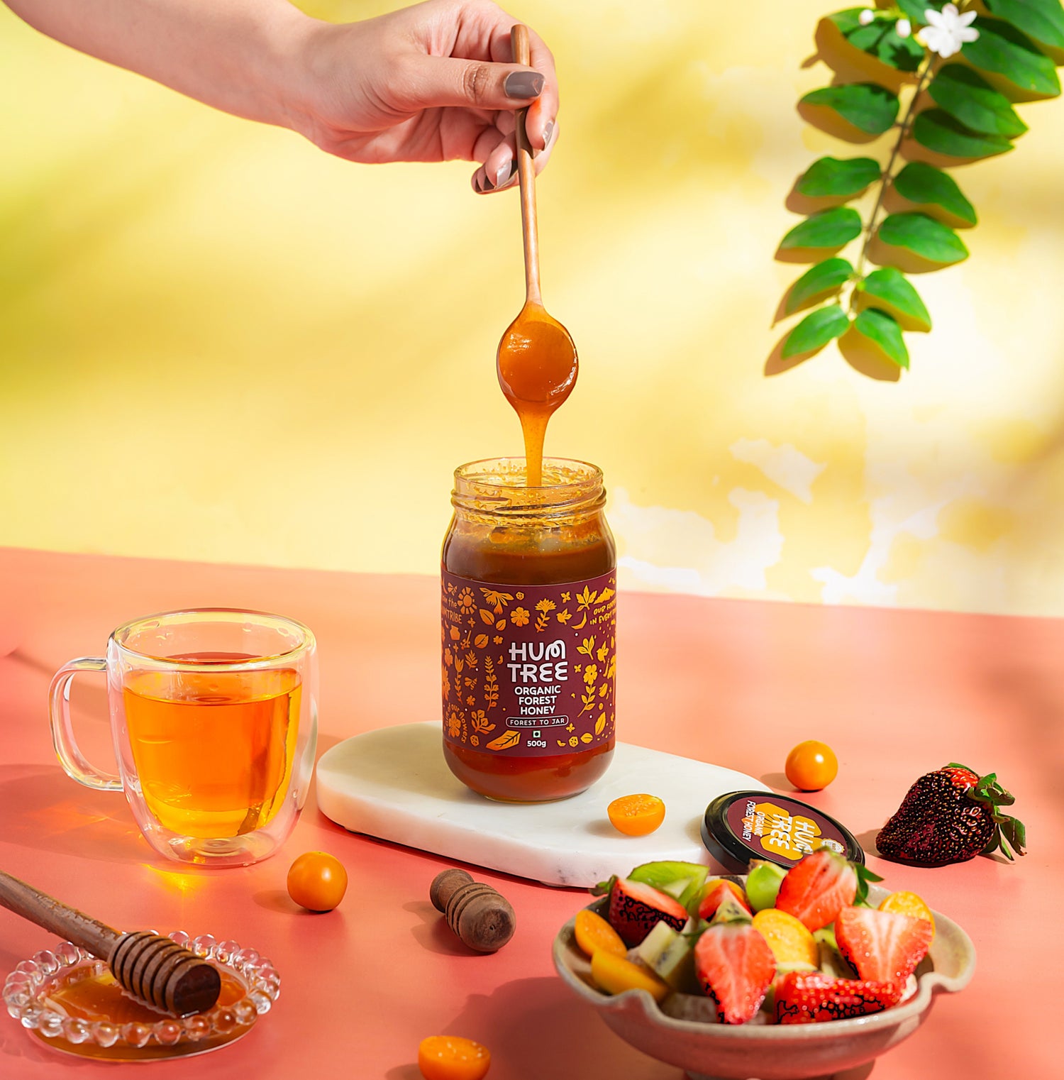 Raw Wild Forest Organic Honey (500g)