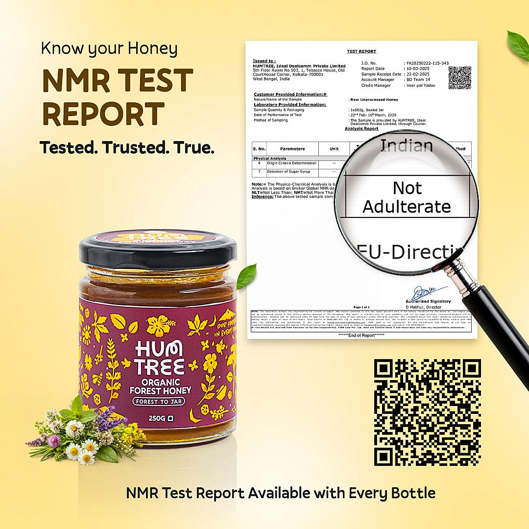 Raw Wild Forest Organic Honey (250g)