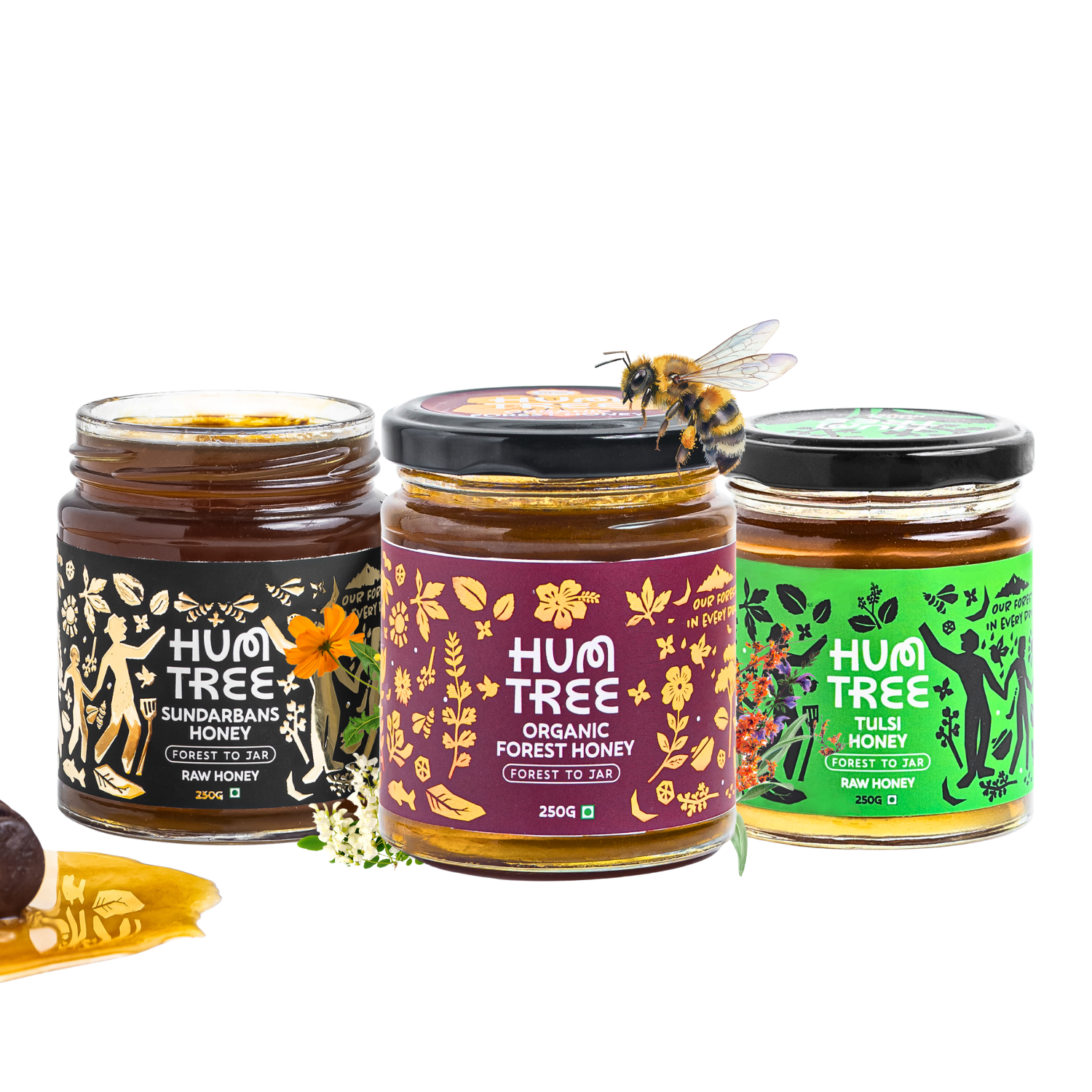 Wild Forest Honey Combo (750 gms)