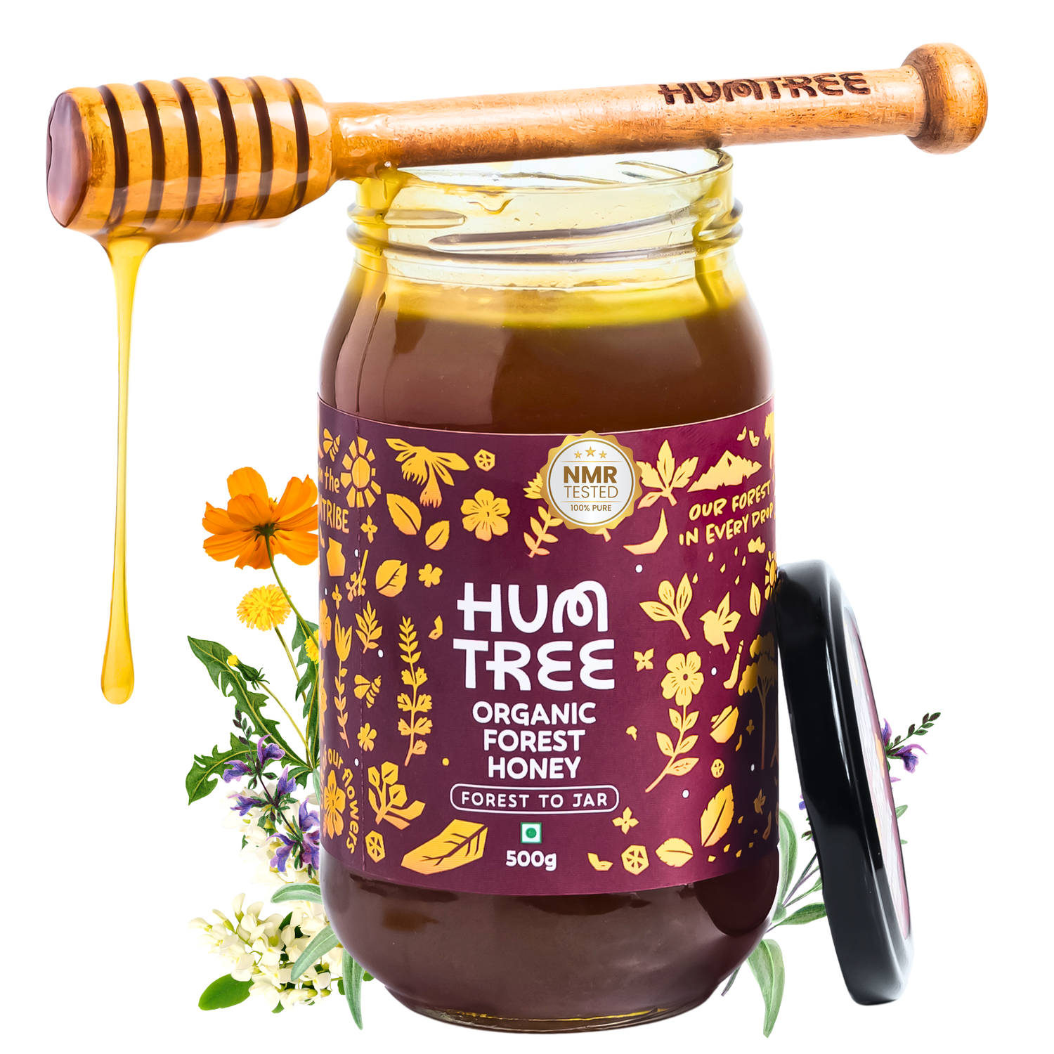 Raw Wild Forest Organic Honey (500g)